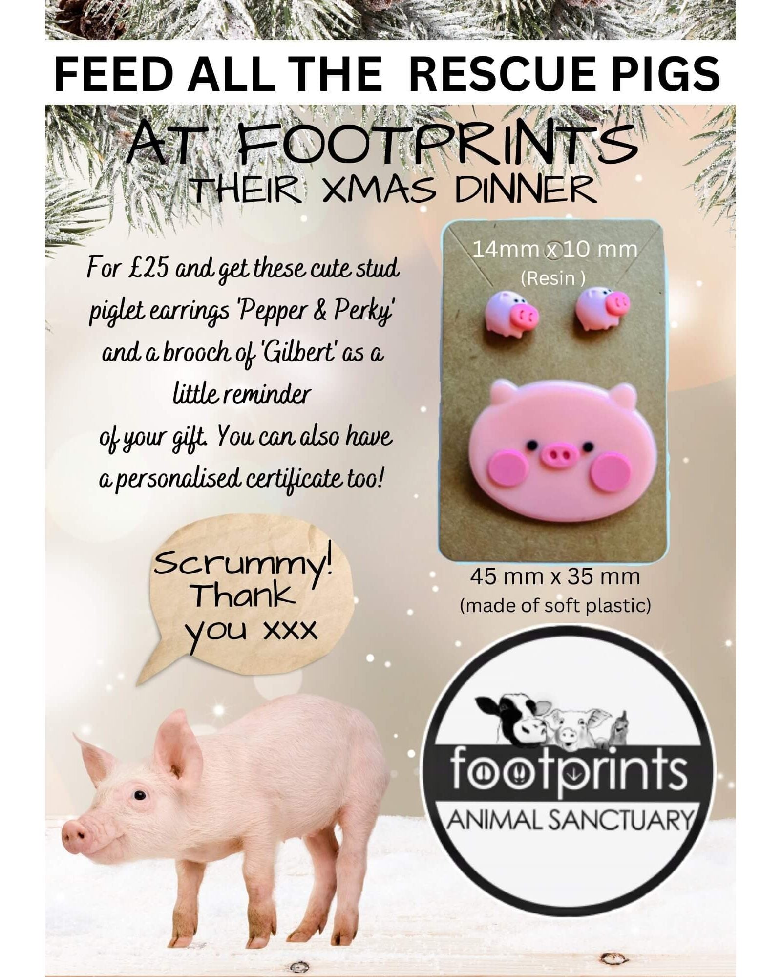 For just £25 you can feed all 21 pigs at Footprints animal sanctuary their Xmas dinner and get these stud piglet earrings & brooch as a reminder of the awesome gift you gave
