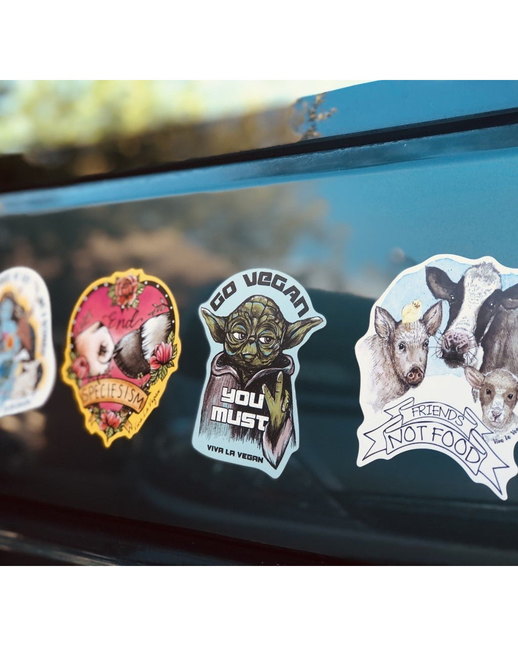 Shaped vegan magnets on car by Viva La Vegan