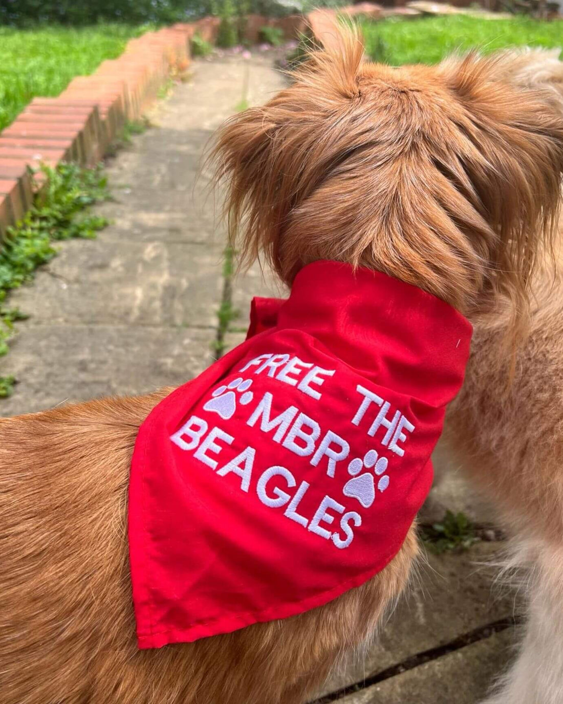 Camp Beagle Bandana - EMBROIDERY