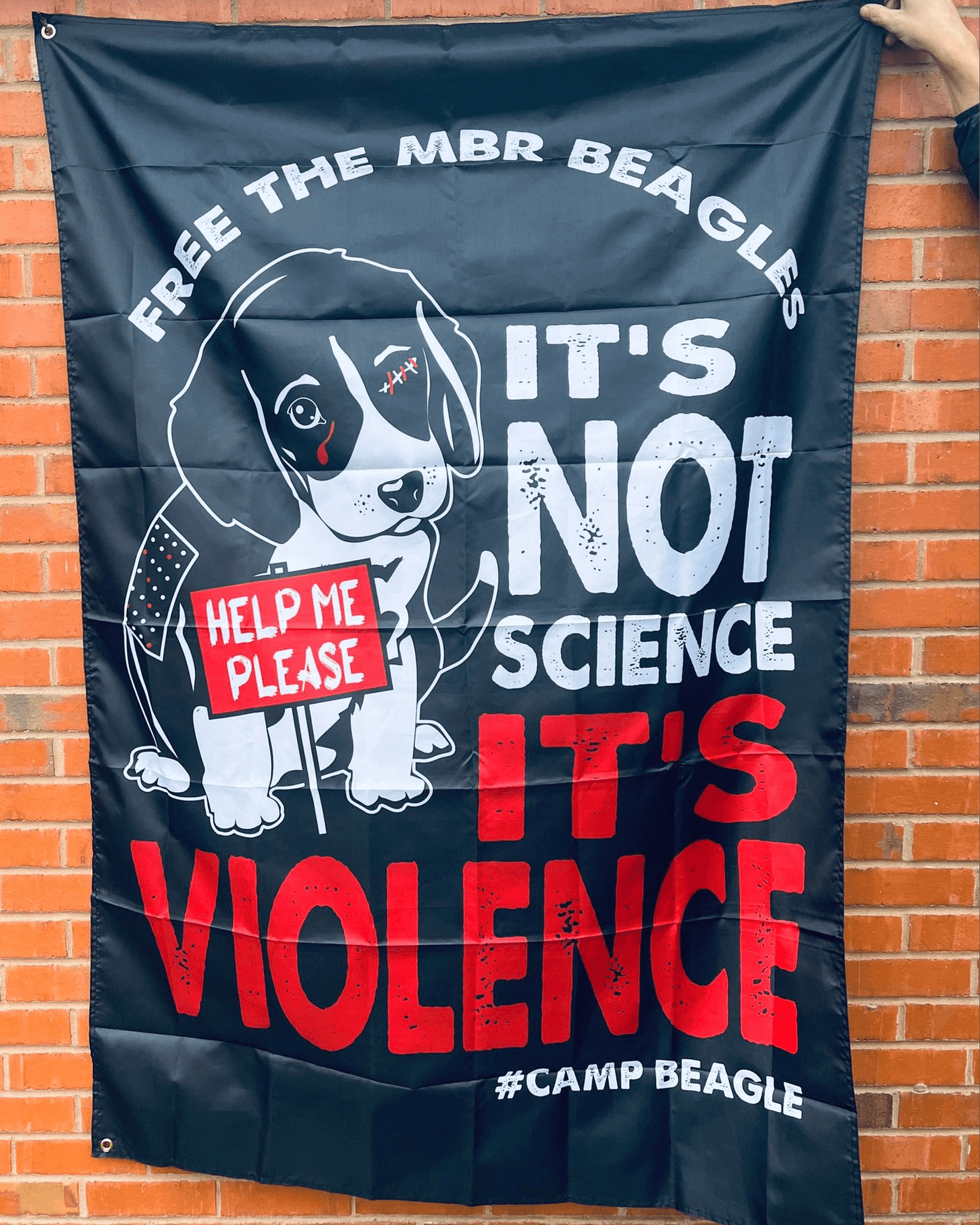 camp beagle banner / flag