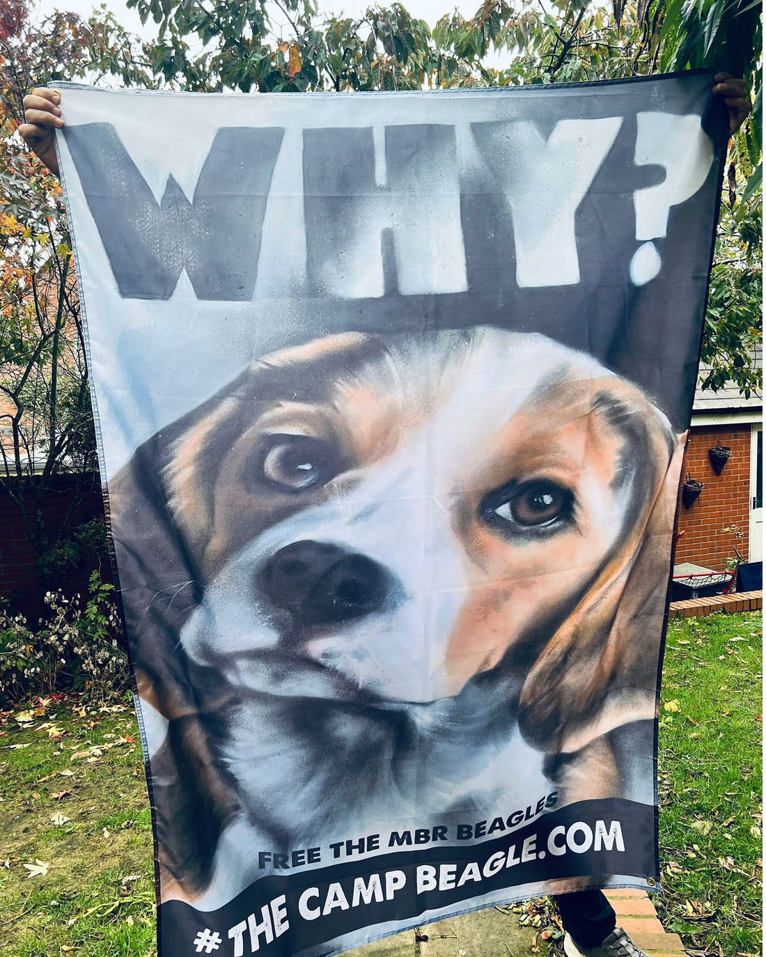 Large banner of the artwork WHY? with a large print of a painted beagles head