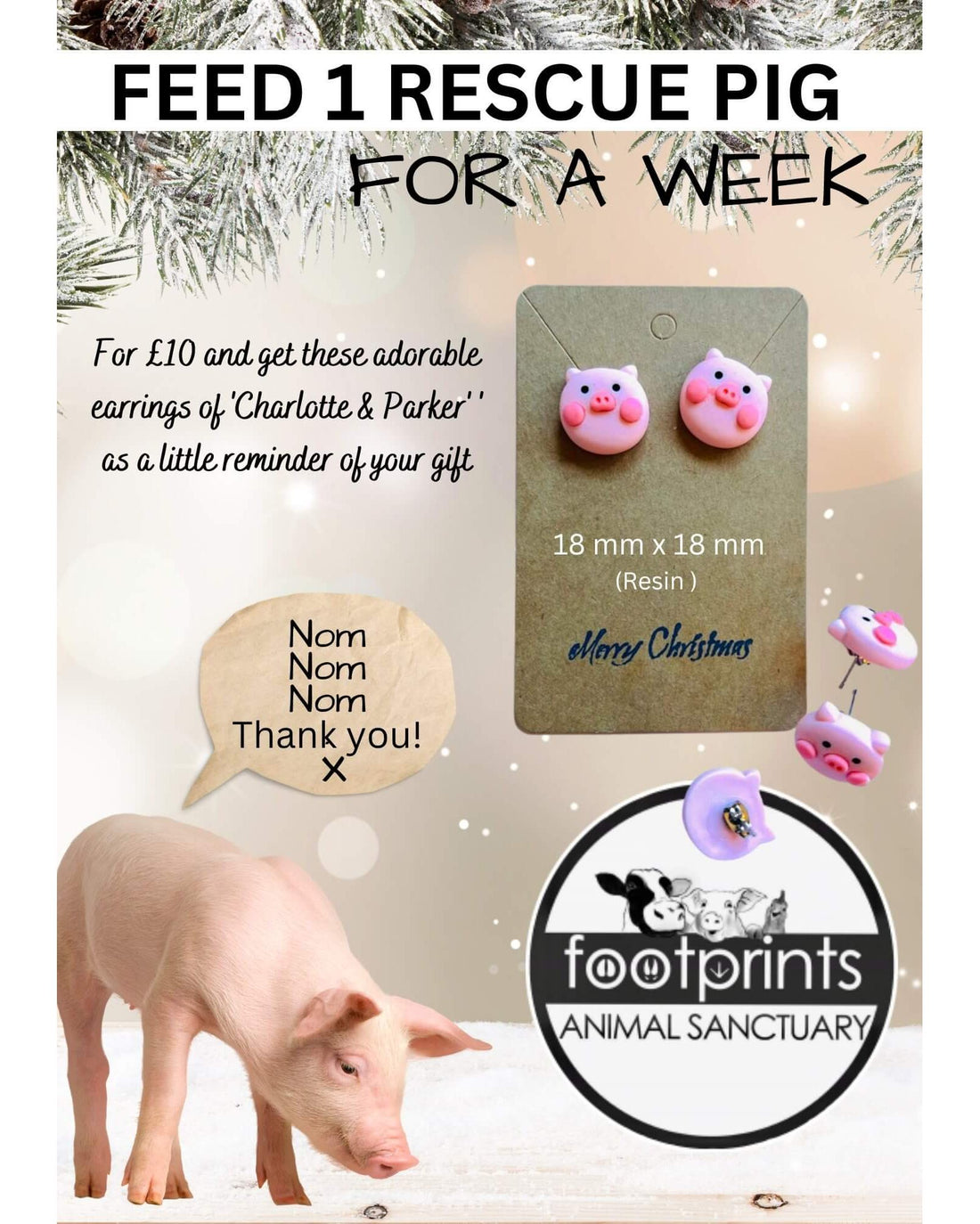 Help feed the pigs at Footprints animal sanctuary and get these cute resin piggy earrings as a thank you