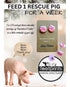 Help feed the pigs at Footprints animal sanctuary and get these cute resin piggy earrings as a thank you
