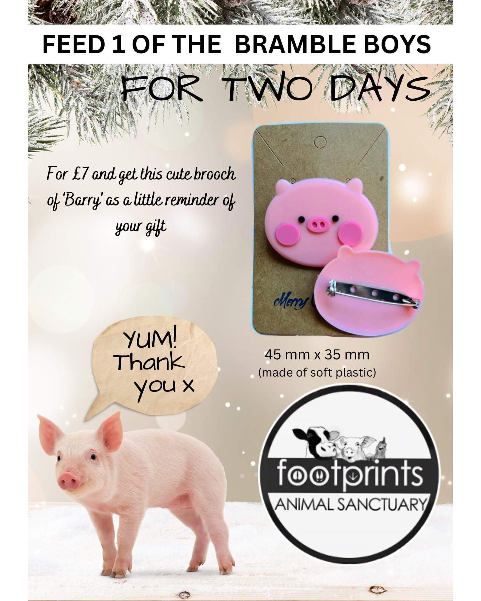Fundraiser brooch footprints animal sanctuary. Cute pink pig face brooch made of soft plastic. safety clasp back