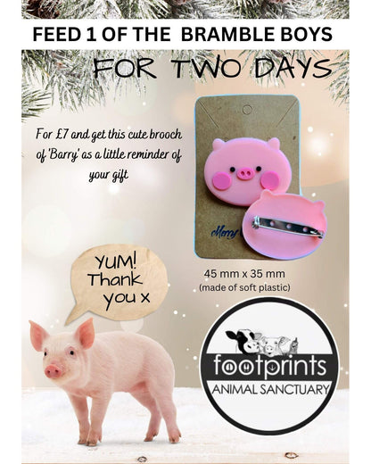 Fundraiser brooch footprints animal sanctuary. Cute pink pig face brooch made of soft plastic. safety clasp back