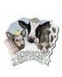 Friends not food shaped vegan magnet by Viva La Vegan