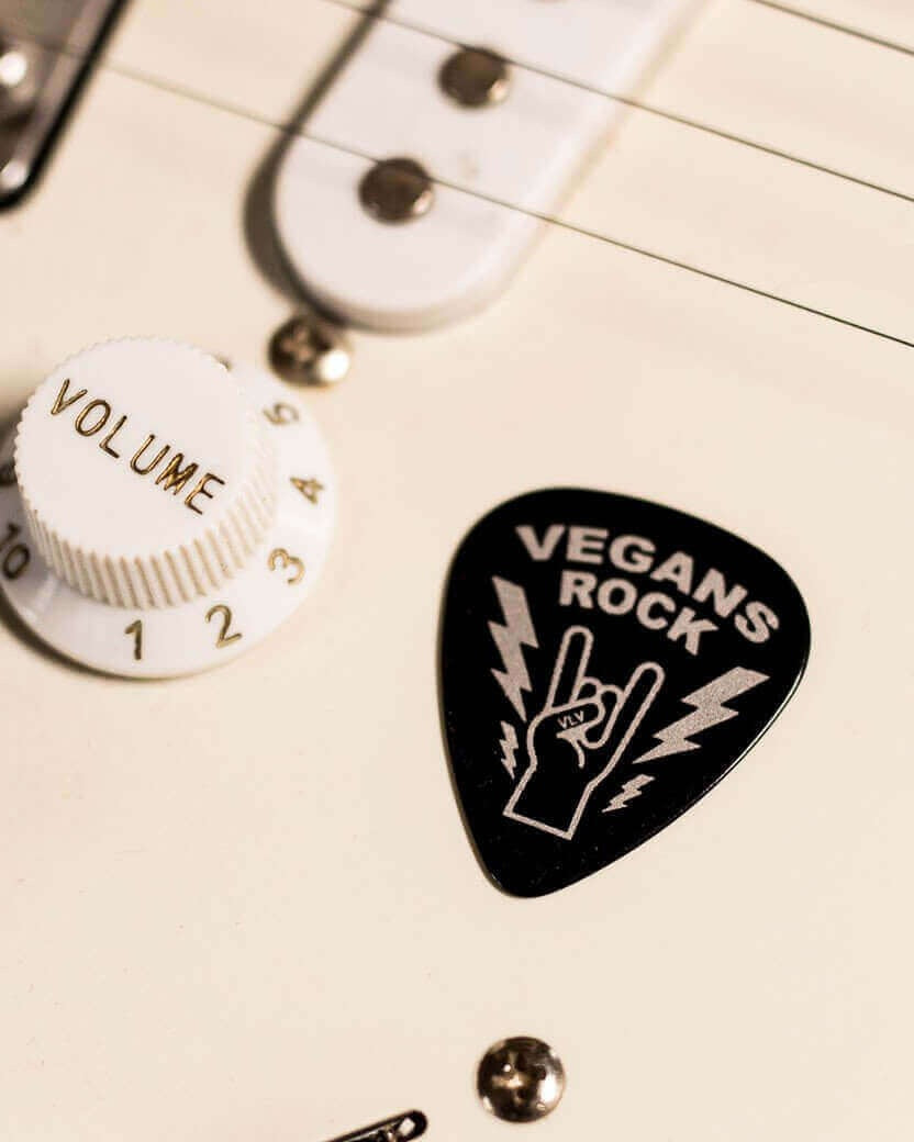 Statement Plectrums To Rock With