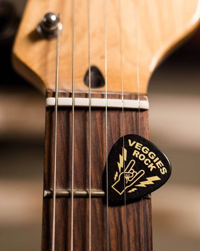 Statement Plectrums To Rock With