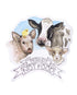 Friends not food vinyl sticker by eco ethical brand Viva La Vegan