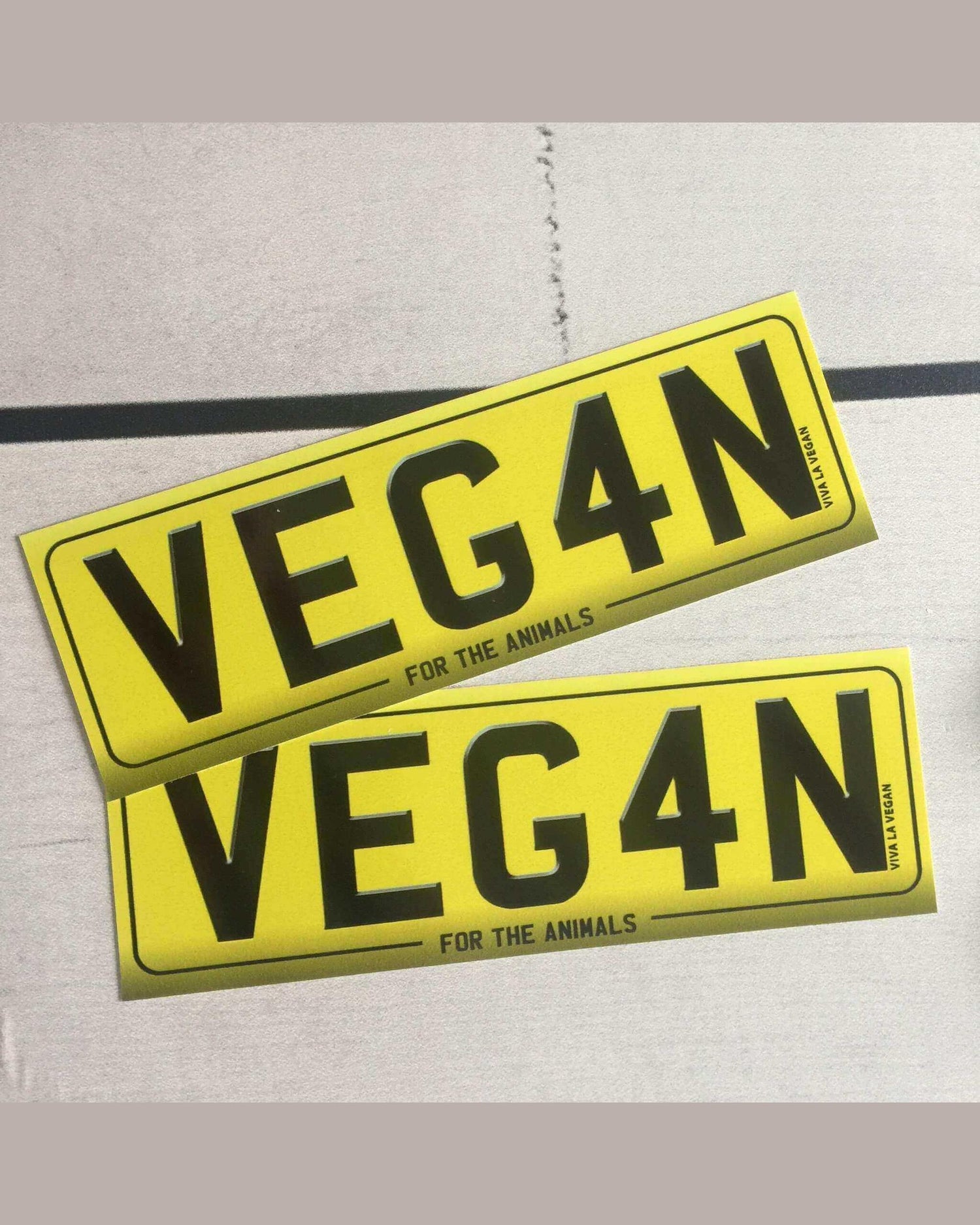 Window Sticker- VEG4N 15 x 5 cm